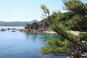 Natura dalekiego wschodu Natura dalekiego wschodu